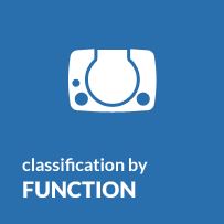 Classification by function